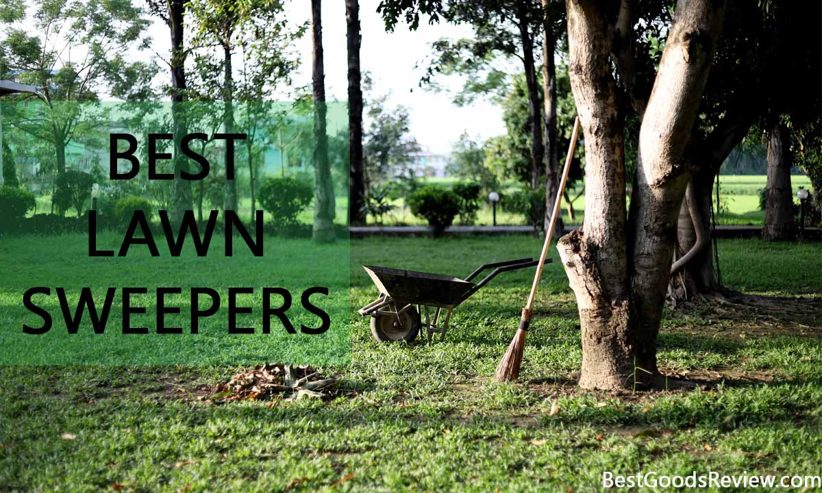 Best Lawn Sweeper Reviewed | Our Best Picks For You
