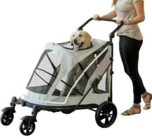 11 BEST DOG STROLLER