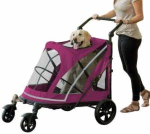 Pet Gear NO-Zip Stroller