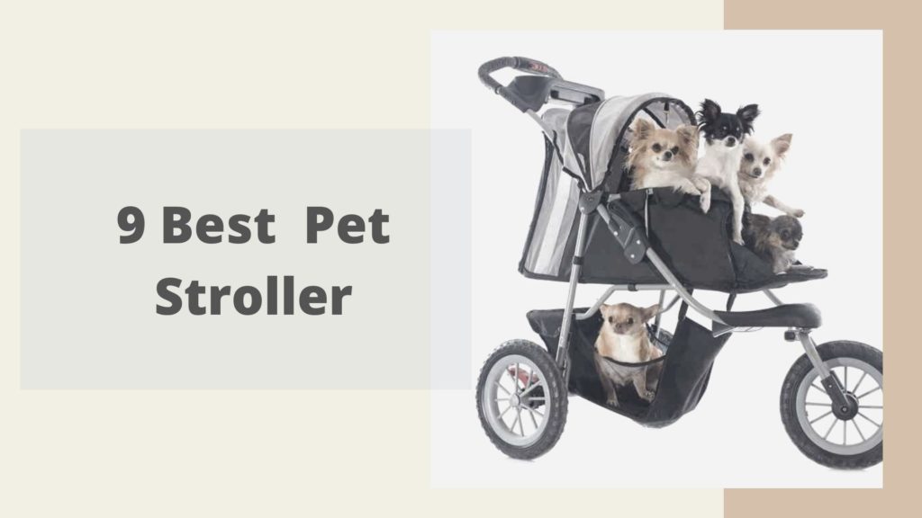 pet stroller