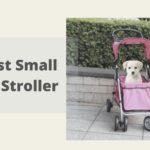 small dog stroller