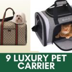 luxury pet carrier