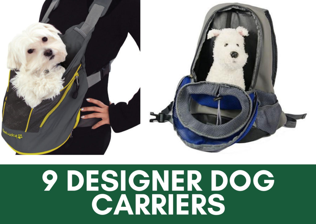 Designer dog carrier