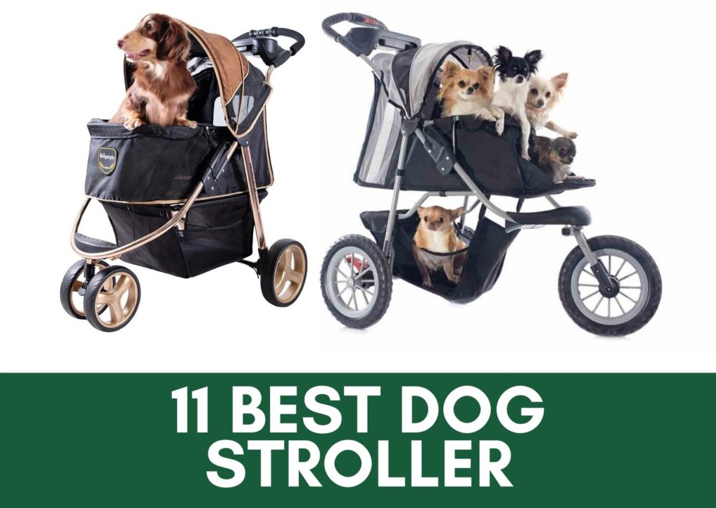 11 best dog stroller