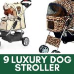 Luxury Dog Strollers