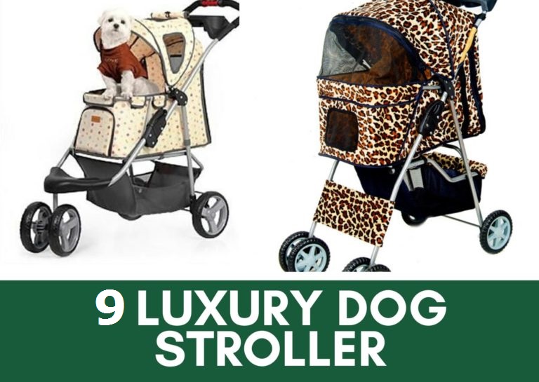 Luxury Dog Strollers