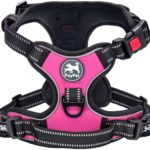 Pull Dog Harness