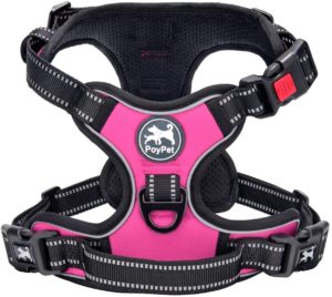 Pull Dog Harness