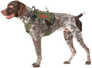 Tactical Dog Harness