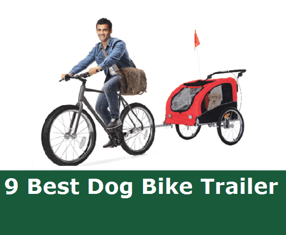 Best Dog Bike Trailer Review