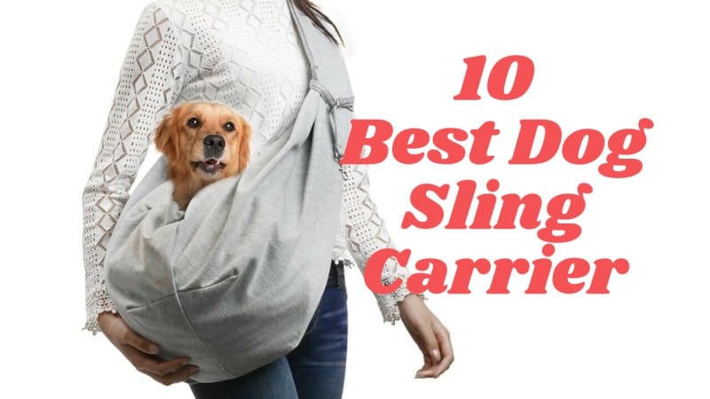 Best Dog Carrier Sling