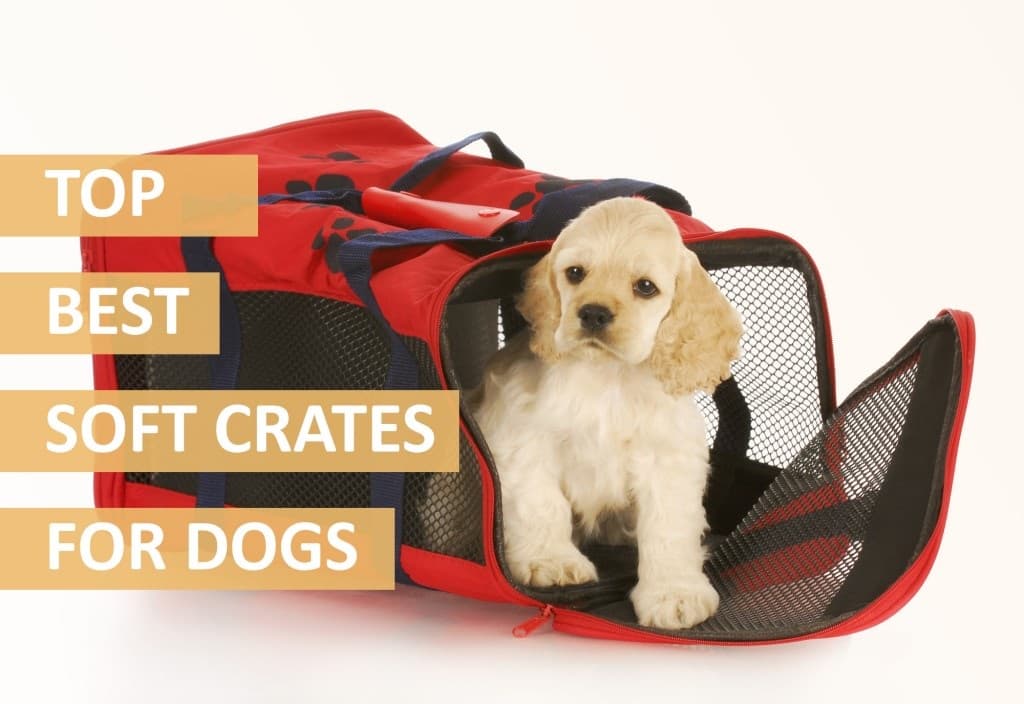 Best Soft Dog Crates