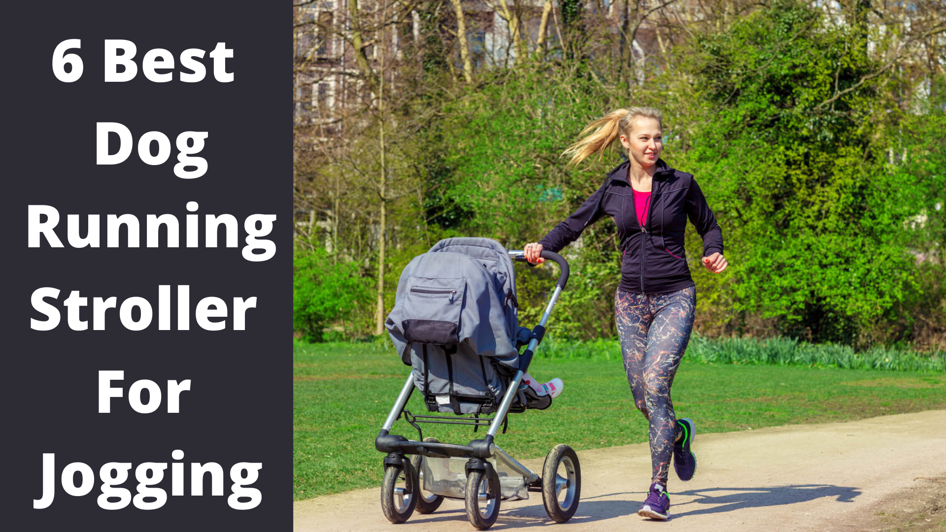 6 Best Dog Running Stroller For Jogging