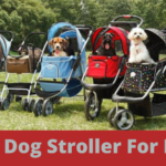 6 best dog stroller for hiking