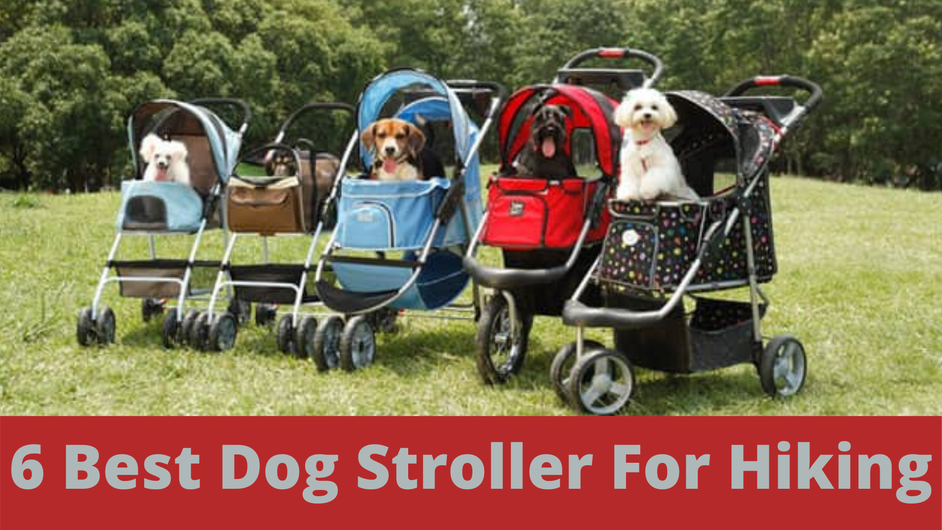 6 best dog stroller for hiking