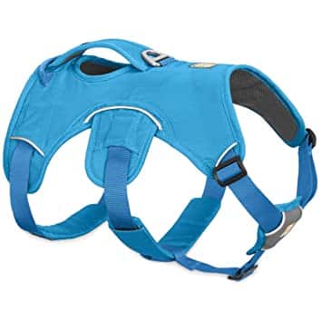 Dog Backpack Hiking Gear